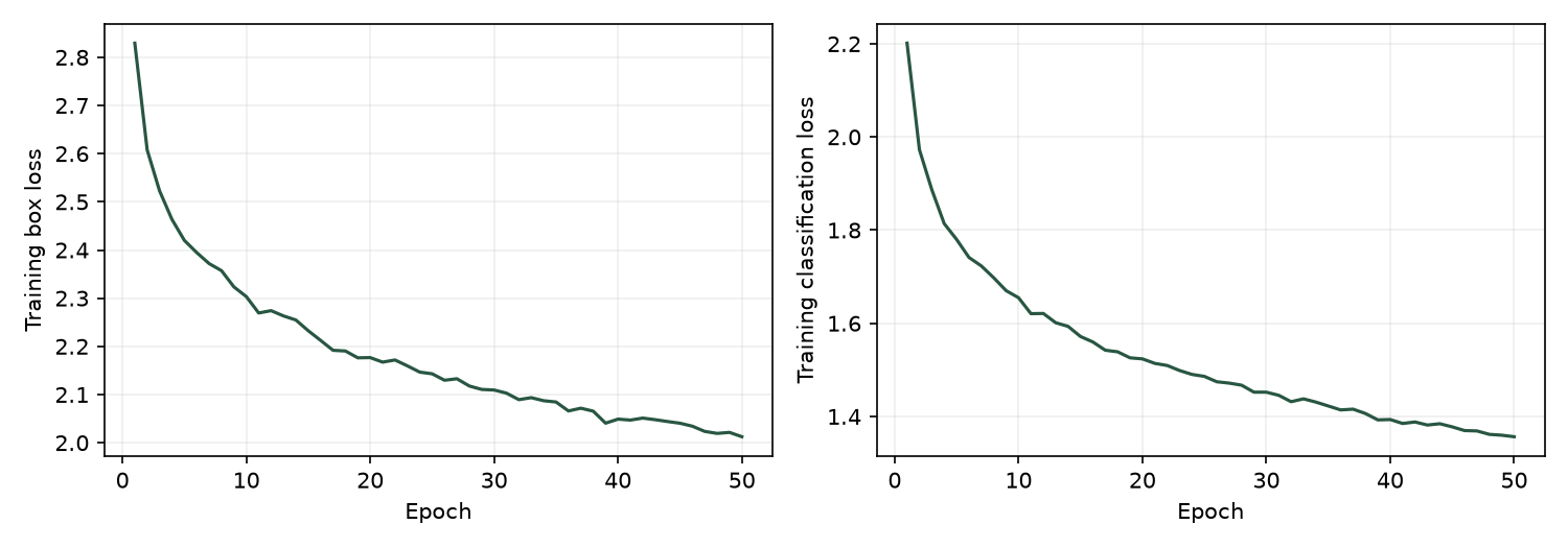 Training box and classification losses over 50 epochs